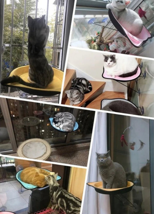 Hamac chat fenĂȘtre FĂ©liFeutreâą mosaique