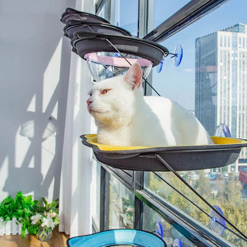 Hamac chat fenêtre FéliFeutreVitro™ parcours