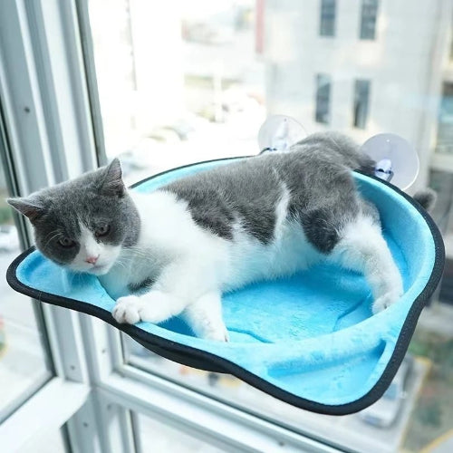 Hamac chat fenĂȘtre FĂ©lifeutreâą bleu