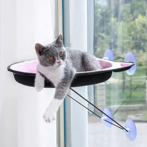 Hamac chat fenĂȘtre FĂ©lifeutreâą rose