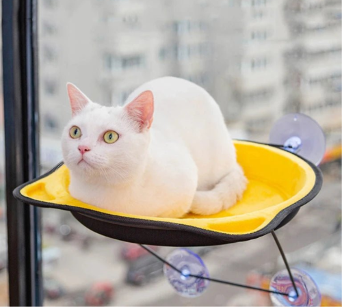 Hamac chat fenĂȘtre FĂ©lifeutreâą jaune