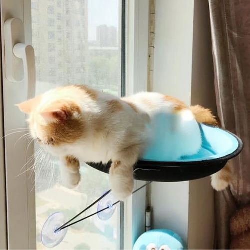 Hamac chat fenĂȘtre FĂ©lifeutreâą bleu