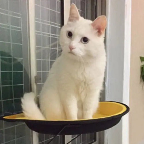 Hamac chat fenĂȘtre FĂ©lifeutreâą jaune