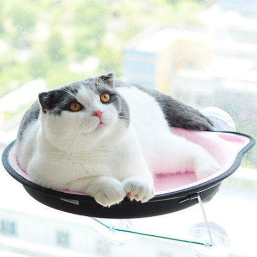 Hamac chat fenĂȘtre FĂ©lifeutreâą confortable