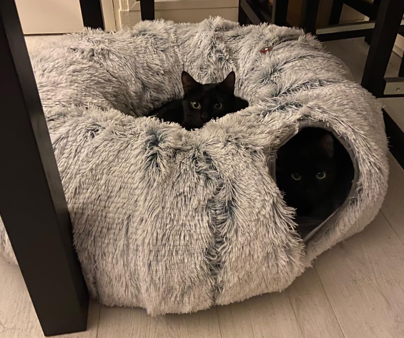 Niche pour chat FluffyTunnel chats noirs