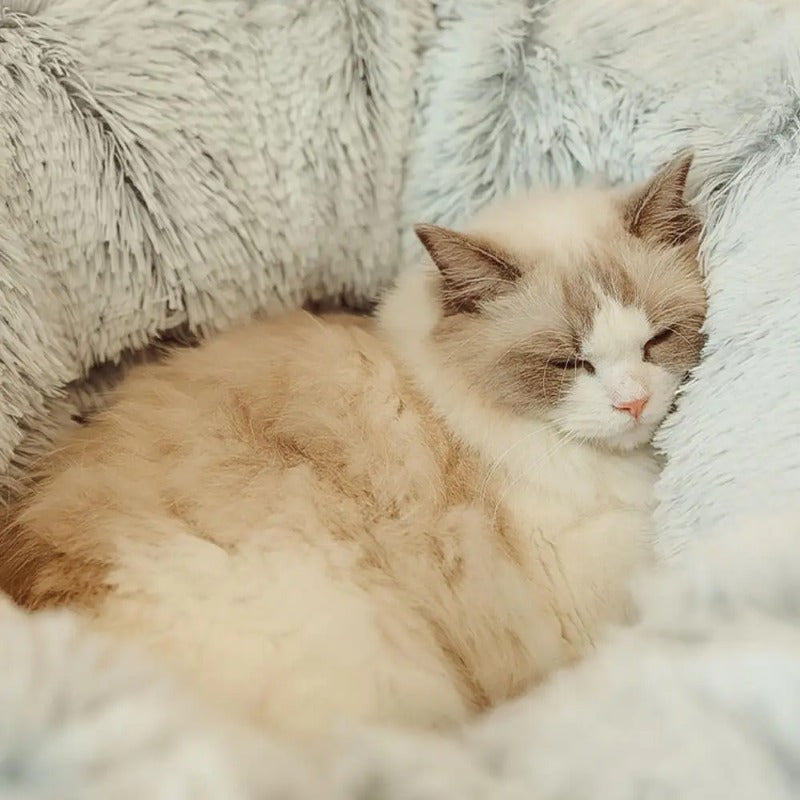 Niche pour chat FluffyTunnel dodo