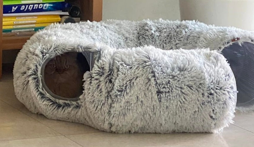 Niche pour chat FluffyTunnel modulable