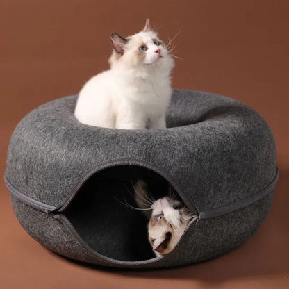 Niche pour chat ChatCondo chats explore