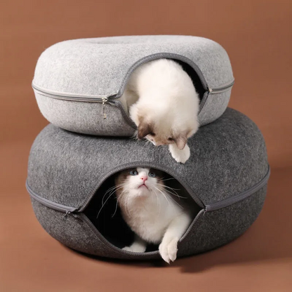 Niche pour chat ChatCondo chats curieux jeux