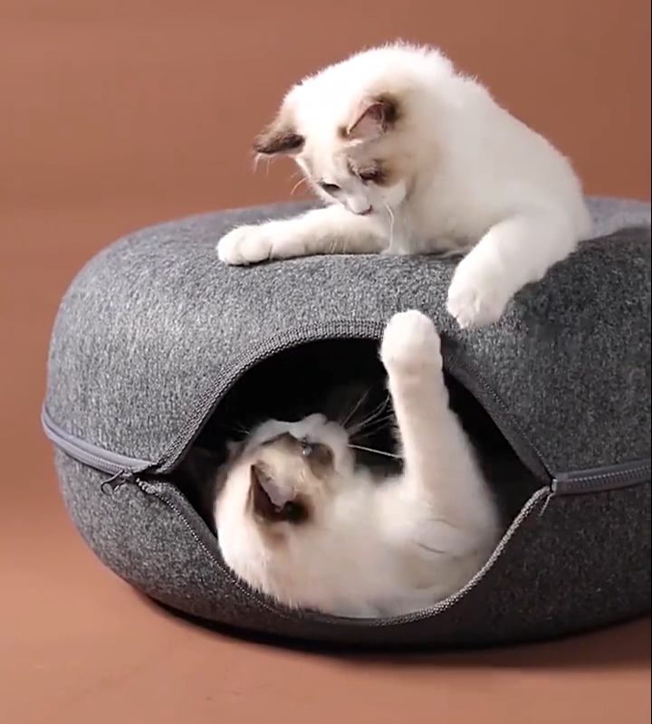 Niche pour chat ChatCondo gris foncé jeux
