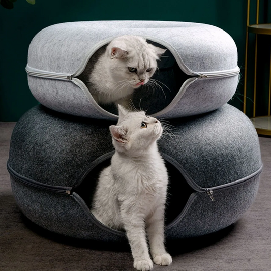 Niche pour chat ChatCondo principale