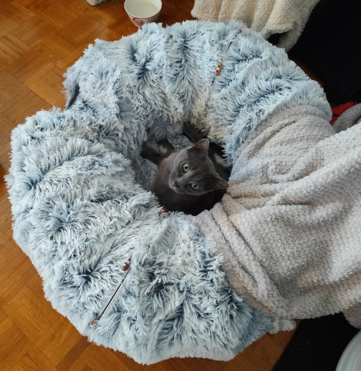 Niche pour chat FluffyTunnel vol oiseau