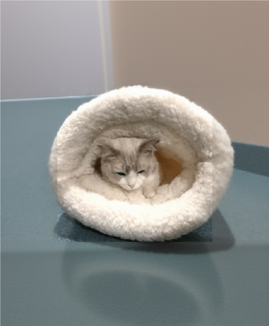 Panier chat CatSleepingBag™ douillet grand