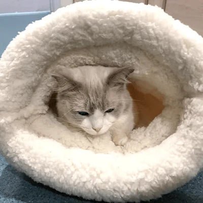 Couchage Chat - CatSleepingBag™ - Rose - SommeilChat.com