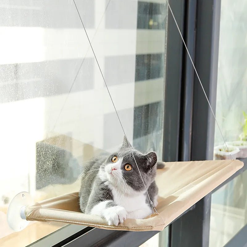 Hamac Chat fenetre PetCatHangingBed™ - Jaune Clair - SommeilChat.com
