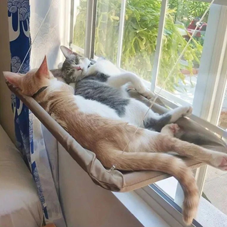 Hamac Chat fenetre PetCatHangingBed™ - Jaune Clair - SommeilChat.com