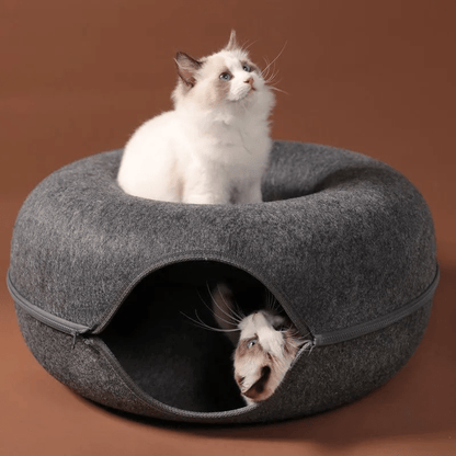 Niche pour chat ChatCondo chats explore