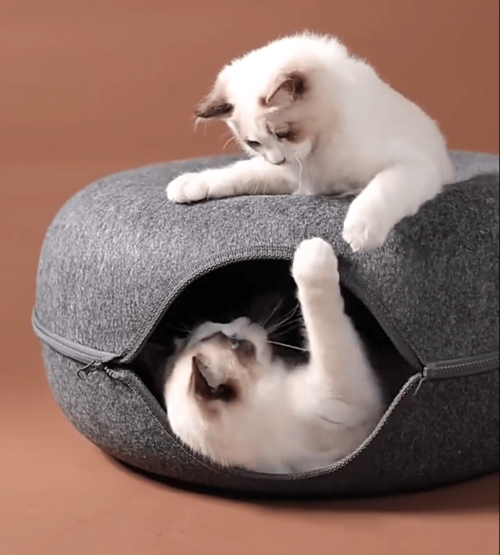 Niche pour chat ChatCondo gris foncé jeux