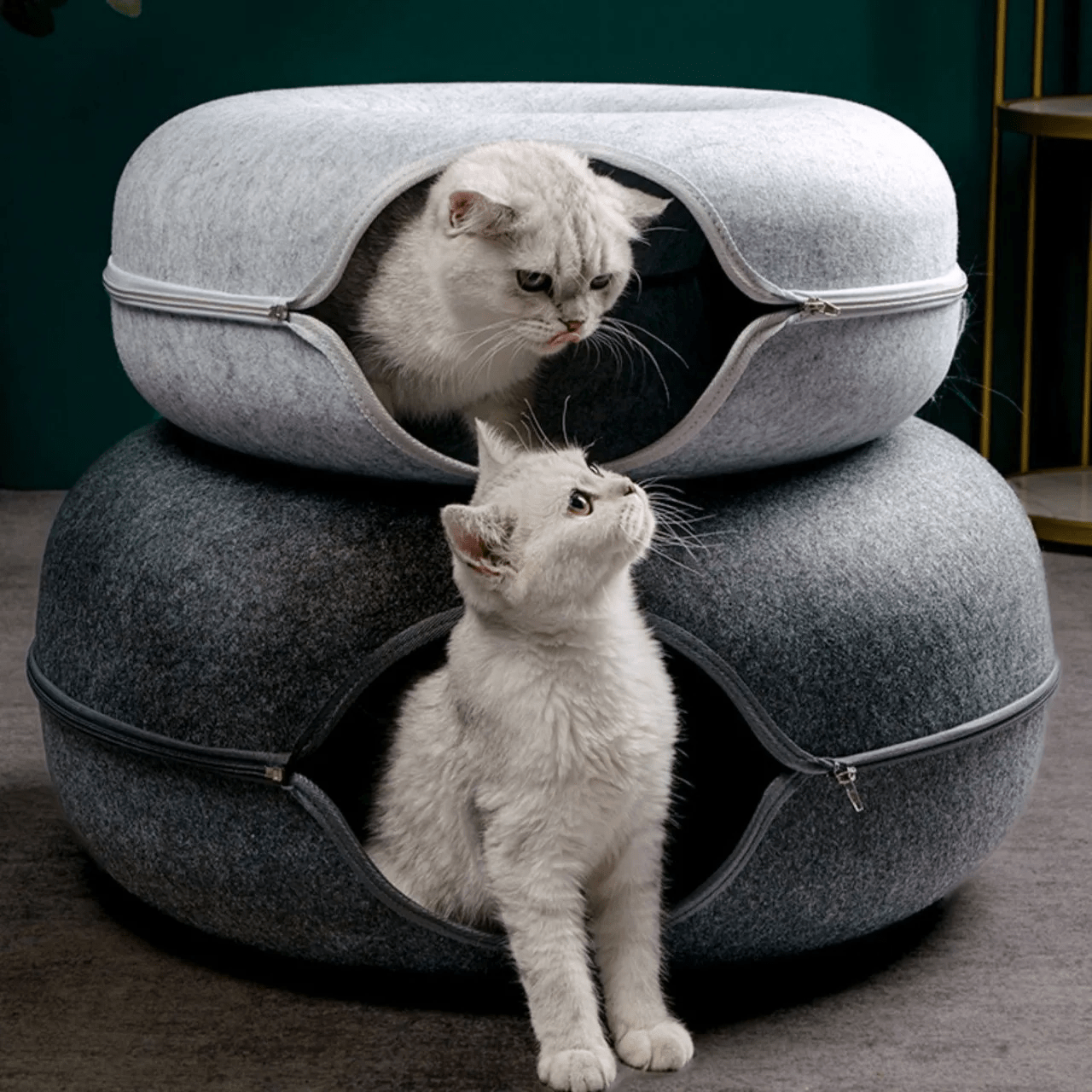 Niche pour chat ChatCondo principale