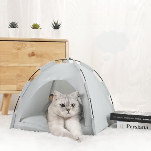 Tente Chat - CatTentBed™ - Gris Cyan - SommeilChat